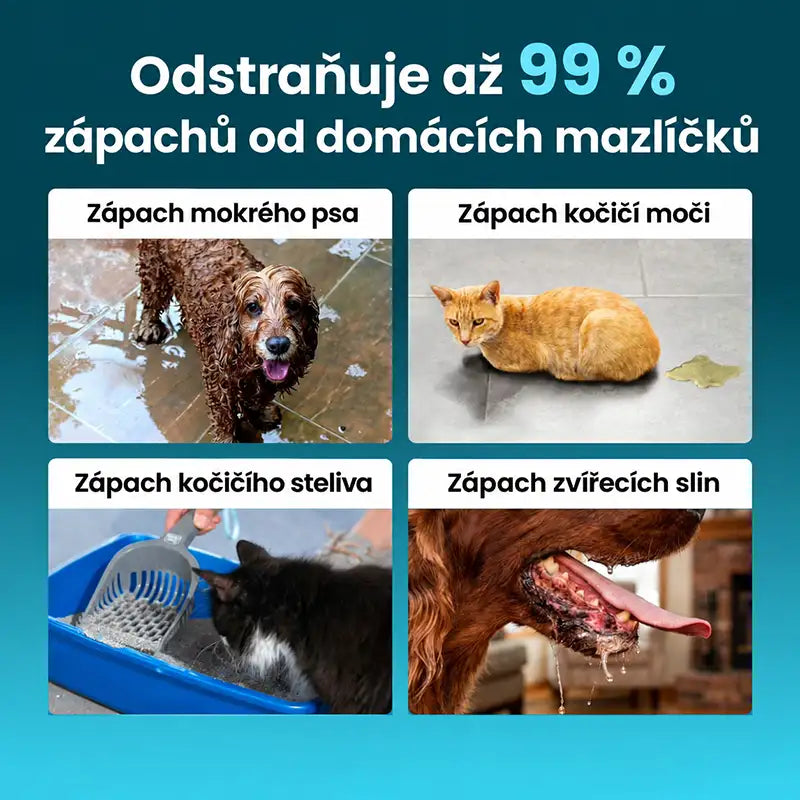 Odstraňte zápach po domácích mazlíčcích do 24 hodin a zabraňte jeho návratu